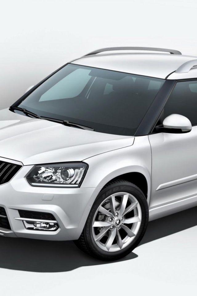 Новая машина Skoda Yeti 2014