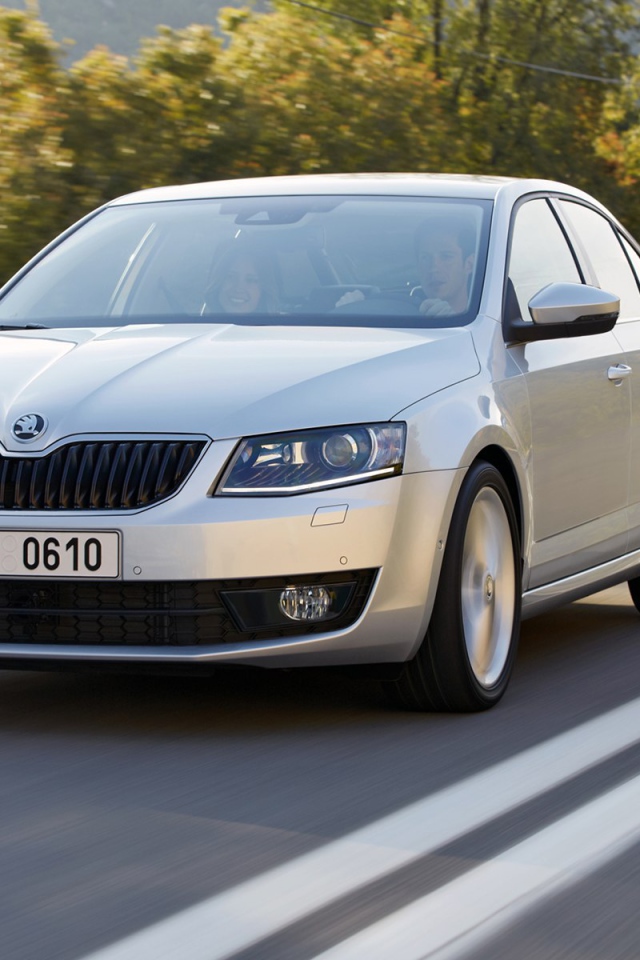Надежная машина Skoda Octavia 2013