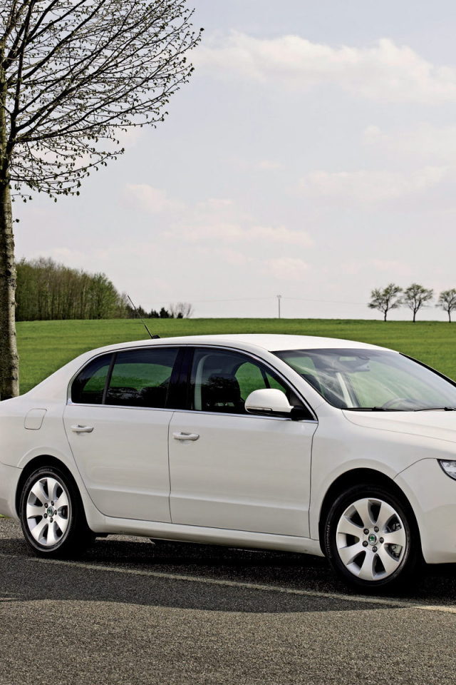 Надежная машина Skoda SuperB