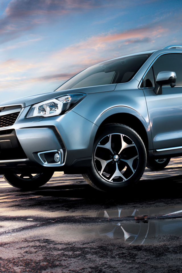 Тест драйв автомобиля Subaru Forester 2013