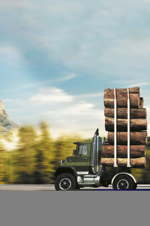 Автомобиль лесовоз