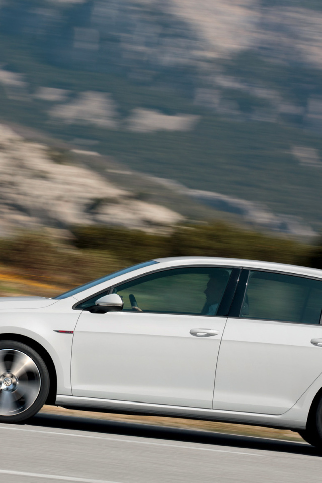 Фото автомобиля Golf GTI 2014 года