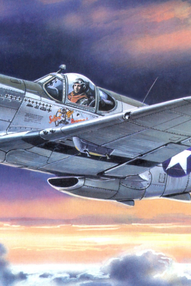 Воздушный боец