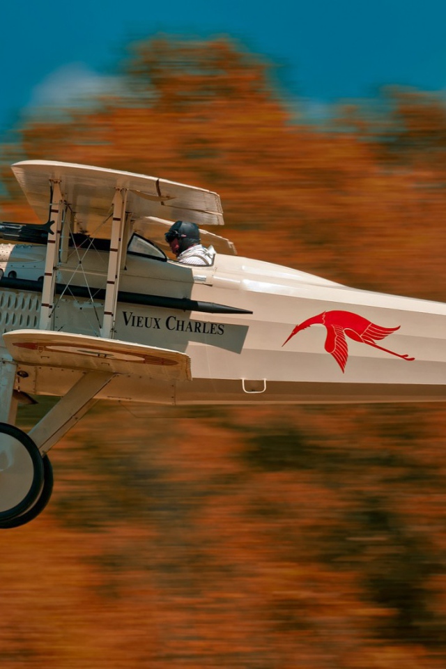 Французский самолет