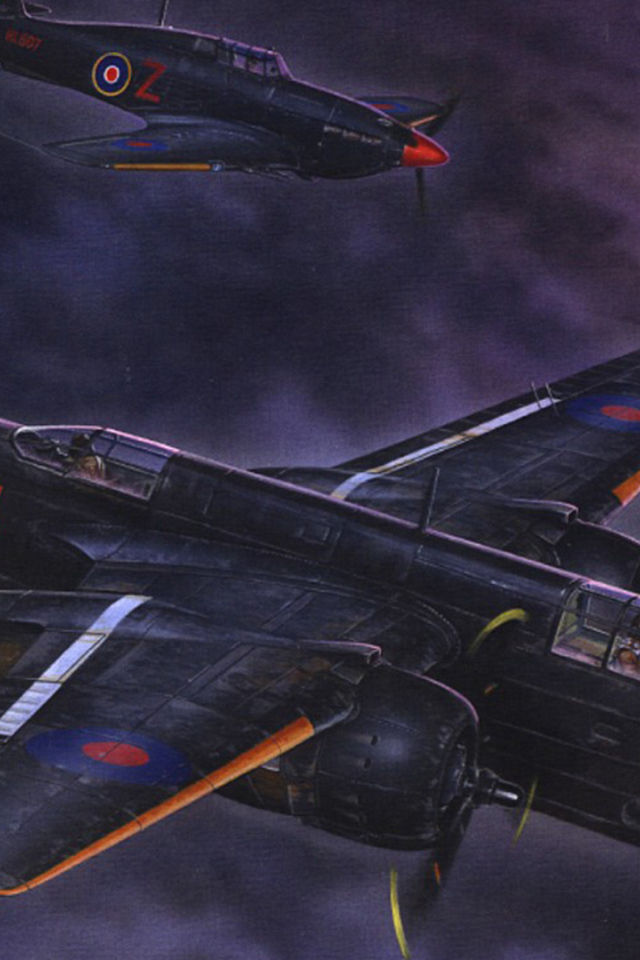 Ночные ястребы