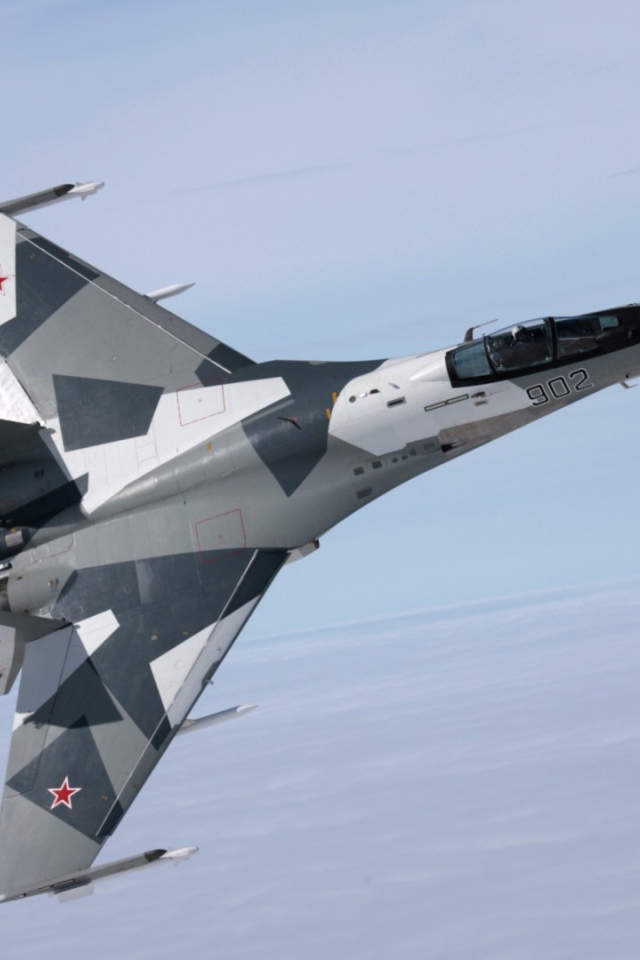 Российский истребитель в небе