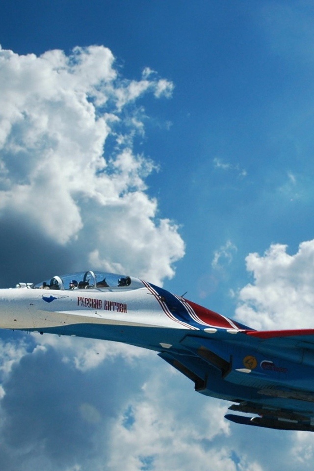 Самолет Русские Витязи