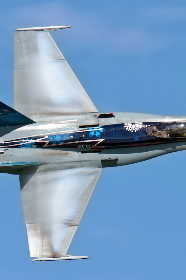 Самолет CF-18