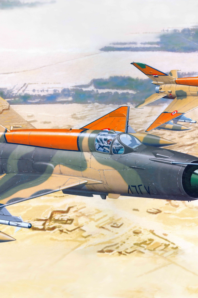 Миг-21 над Египтом