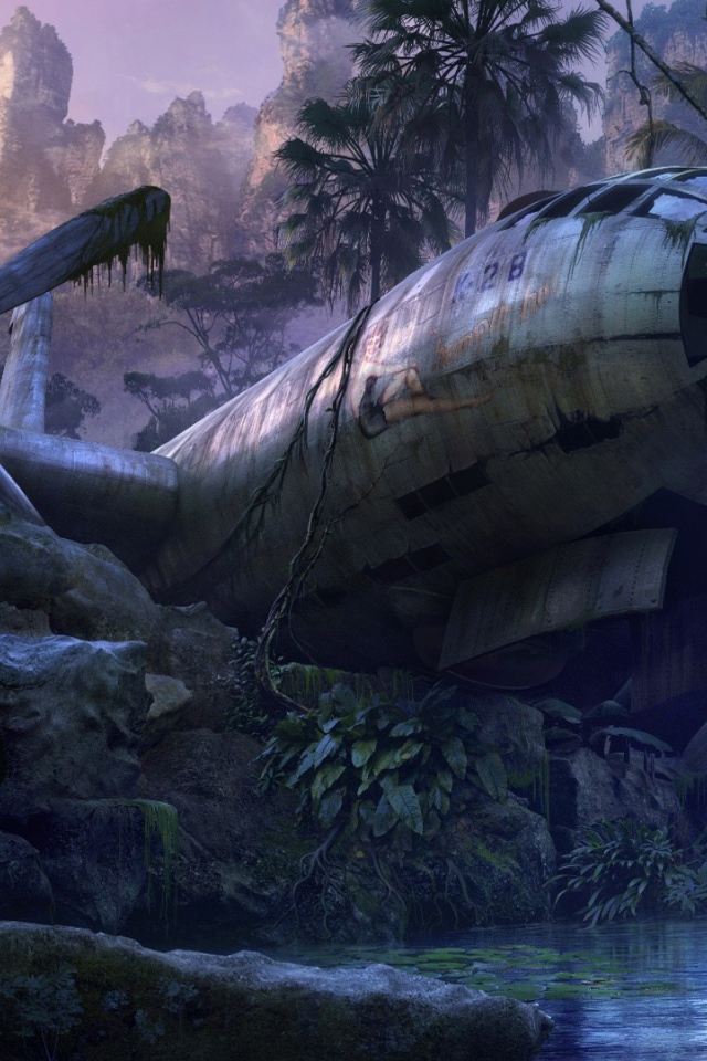 Самолет упал в джунгли