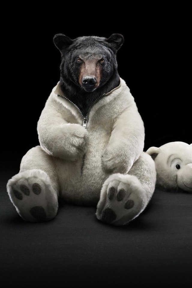 Черные обои с медведем