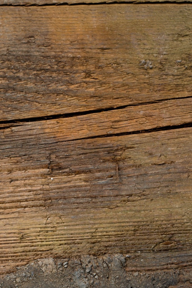 Растрескавшееся дерево