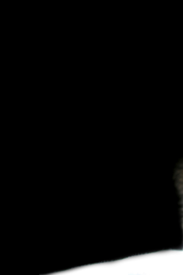 Котенок на черном фоне