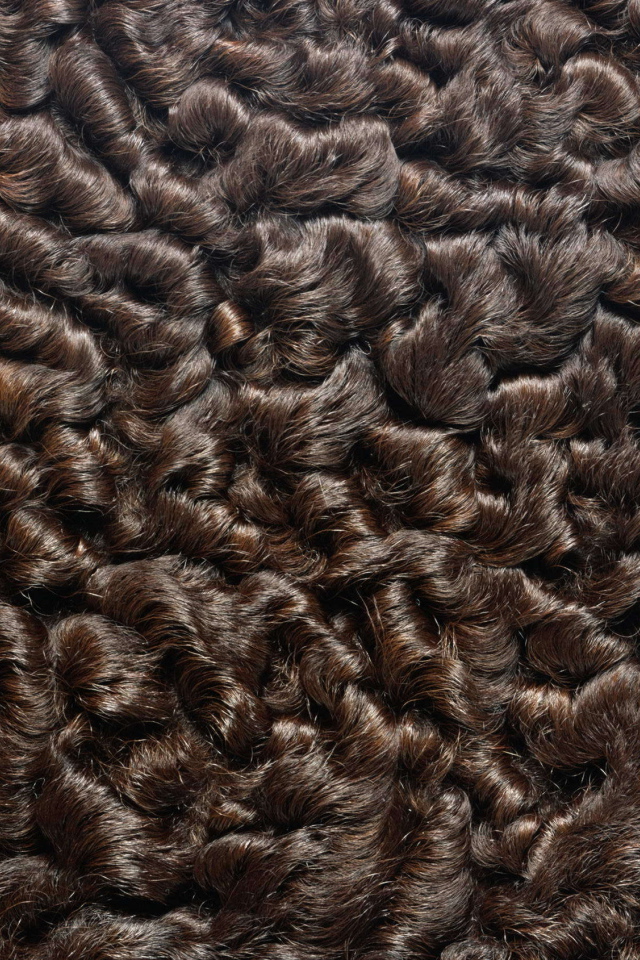 Мех каракуль