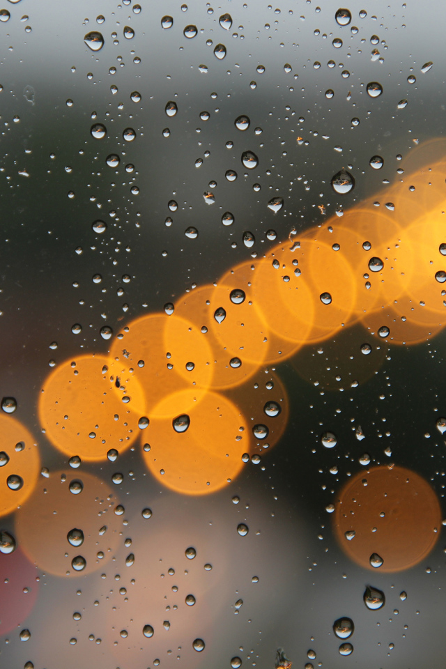 Блики на мокром окне