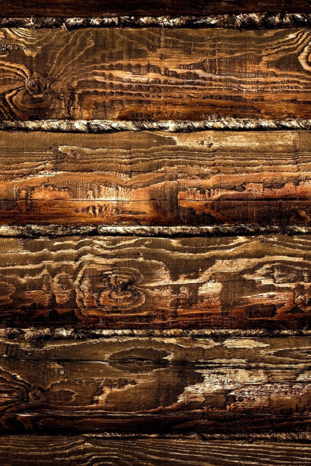 Pисунки дерева