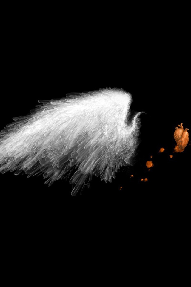 Белое крыло на черных обоях