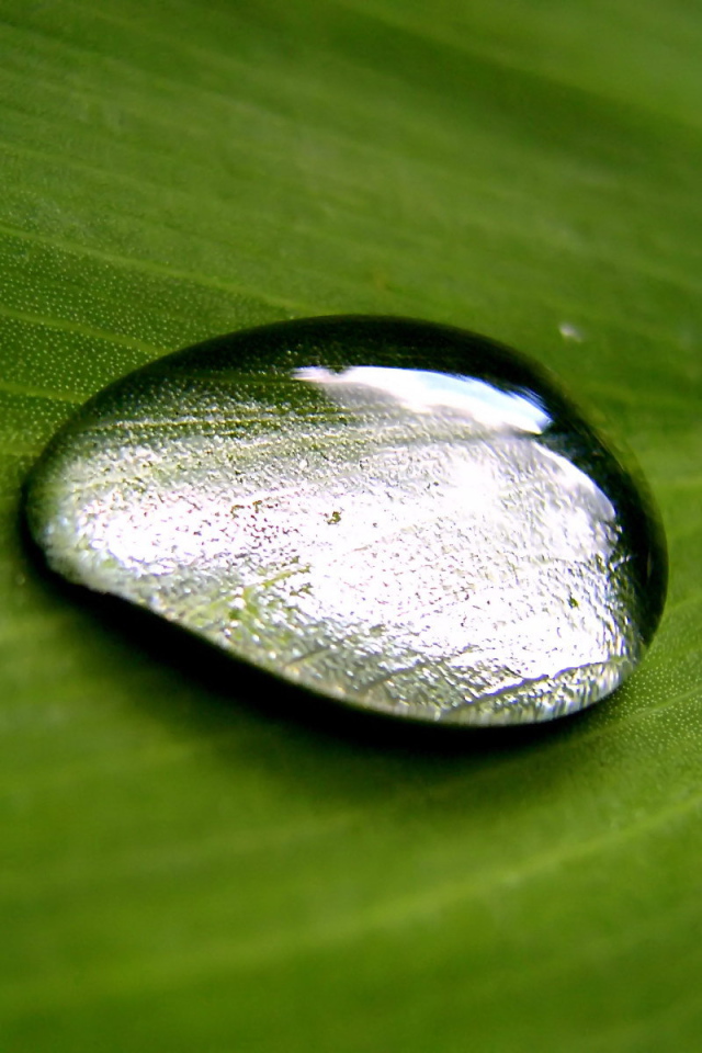 Большая капля