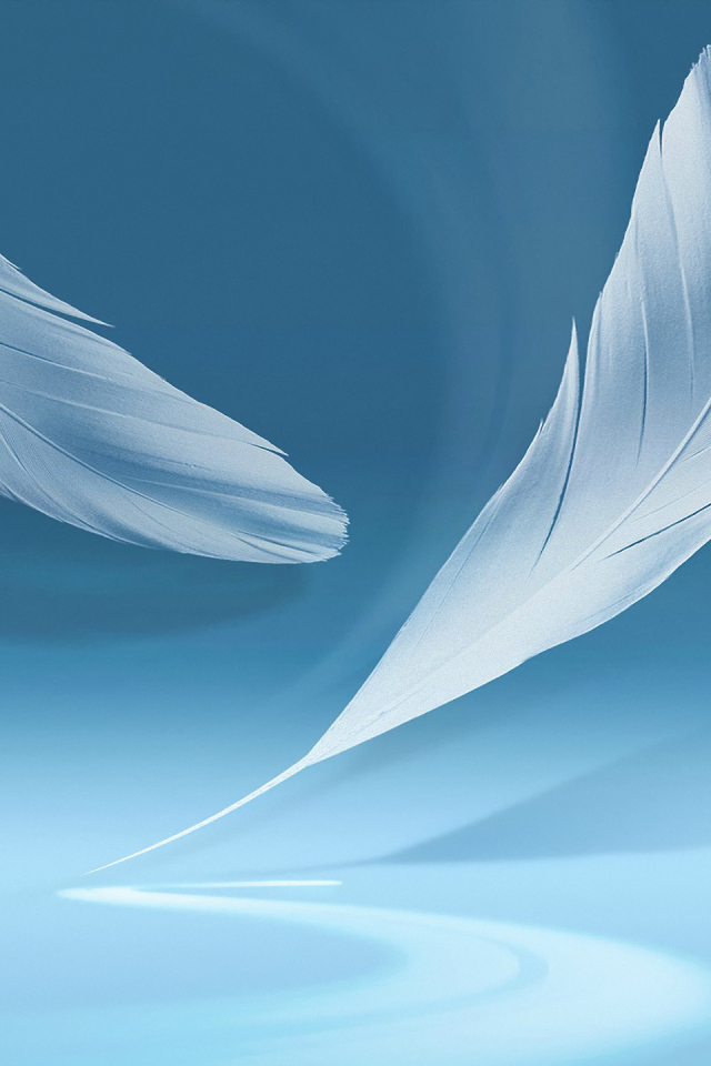 Голубой фон с перьями