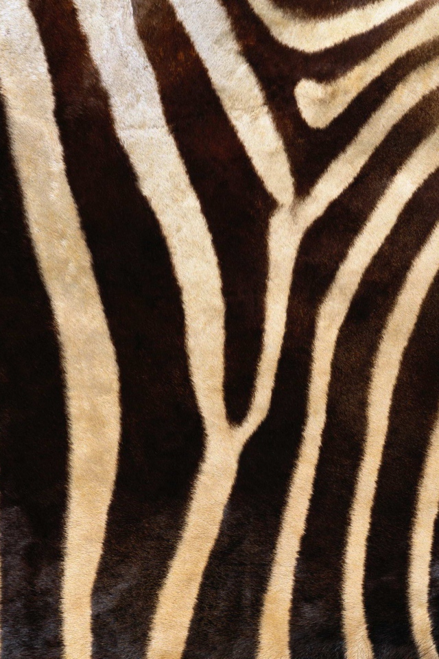 Мех зебры