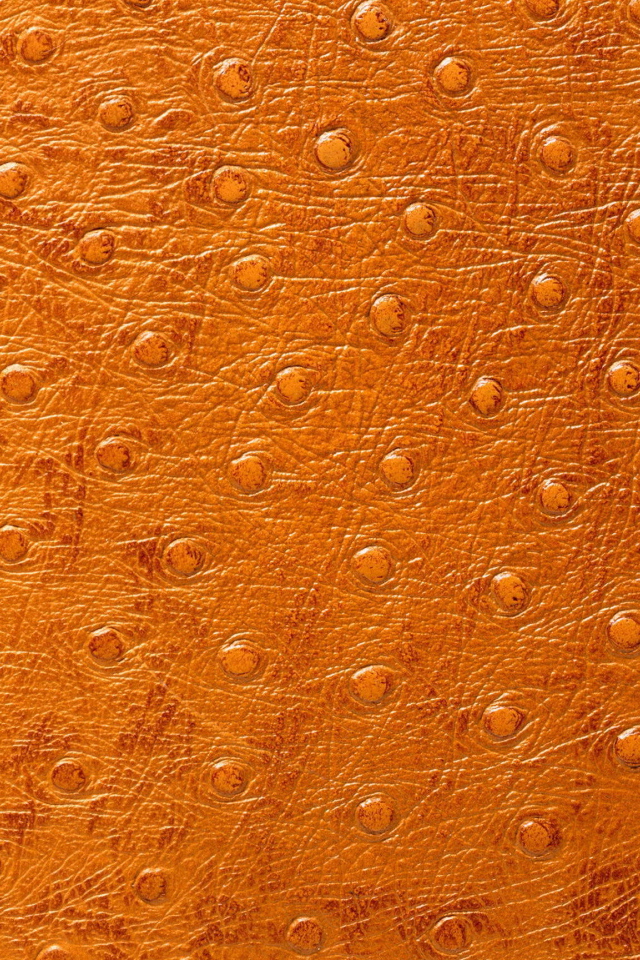 Кожа особой выделки