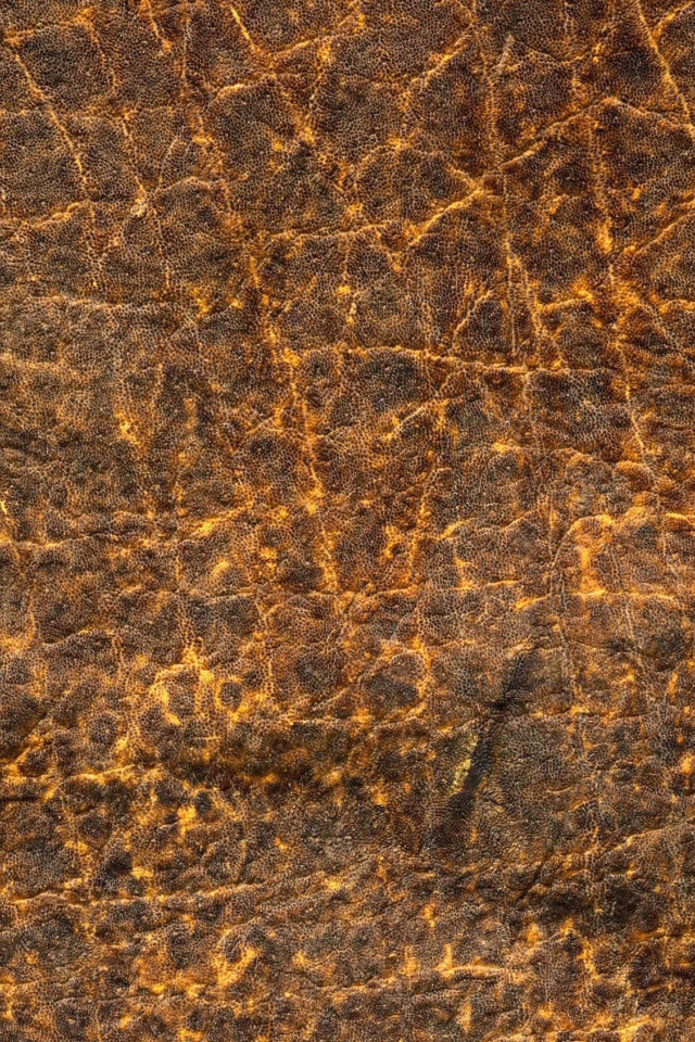 Кожа с прожилками