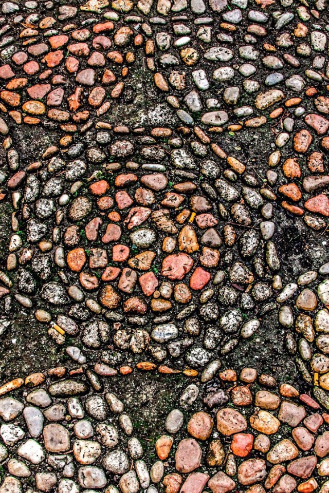 Узоры морского камня