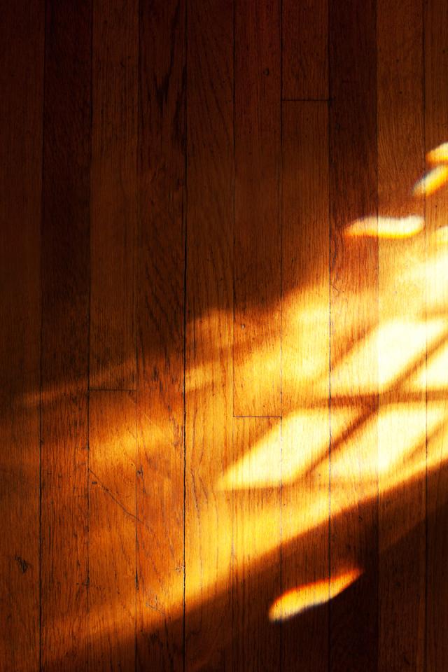 Игра света с символом Windows