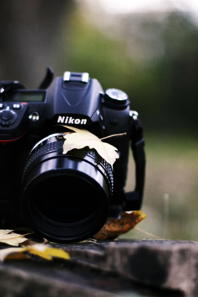 Никон на пне