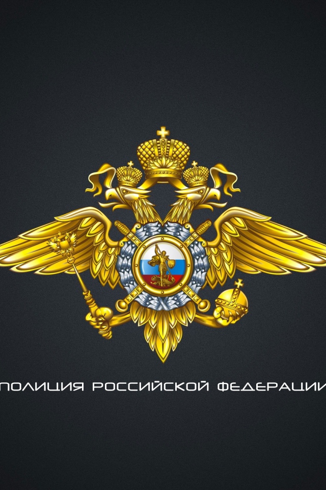 Полиция России
