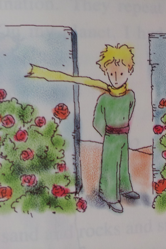 Книга о приключениях маленького принца