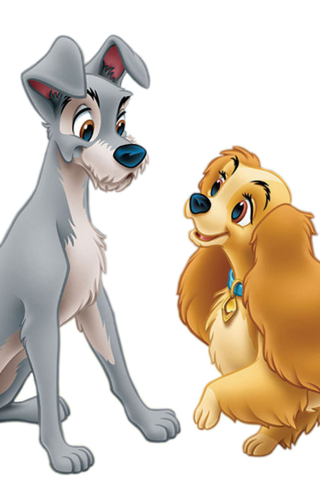 Леди и бродяга