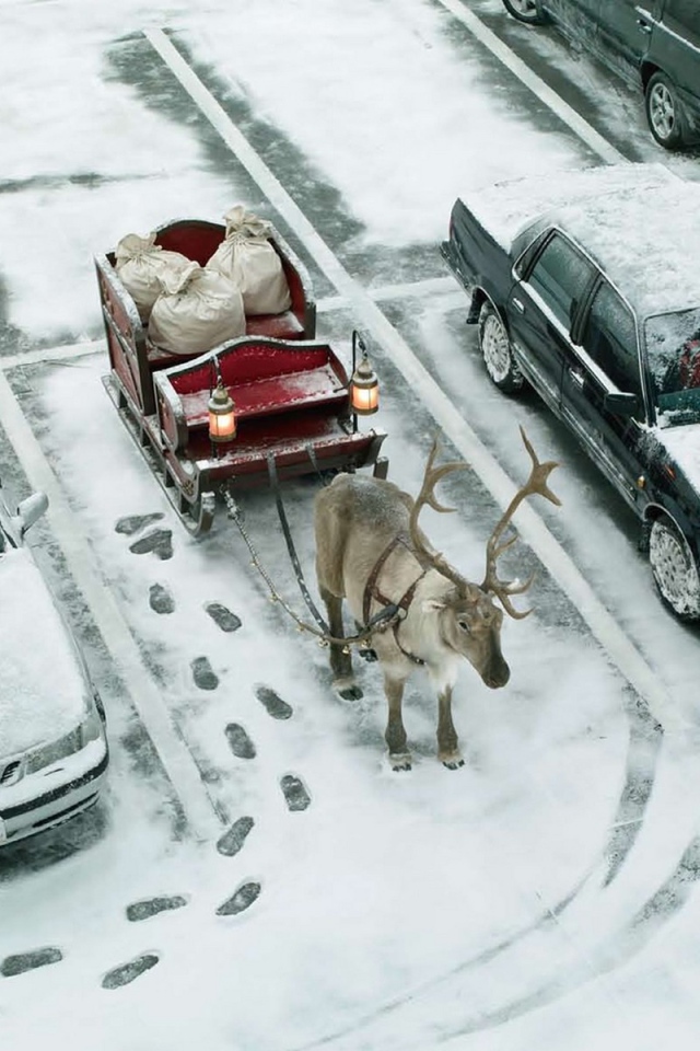 Рождественский транспорт