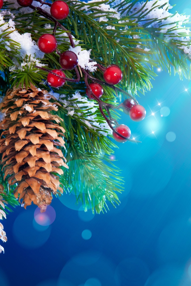 Еловые шишки и красные ягоды