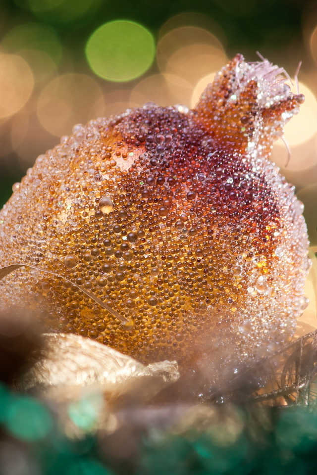 Гранат на Рождество