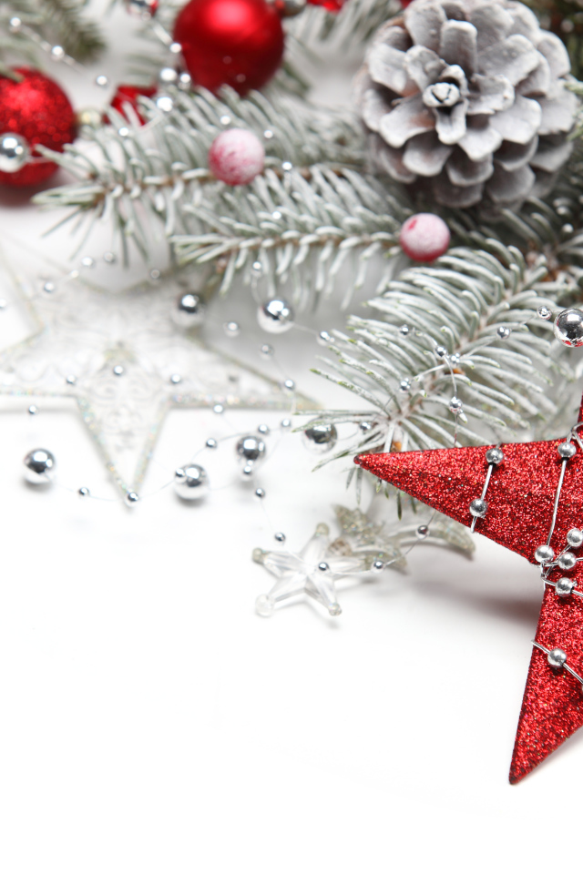 Красная звезда и шишки