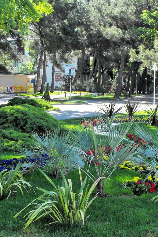 Клумба в городе