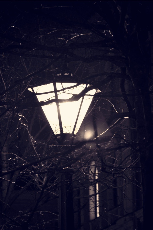 Уличный фонарь