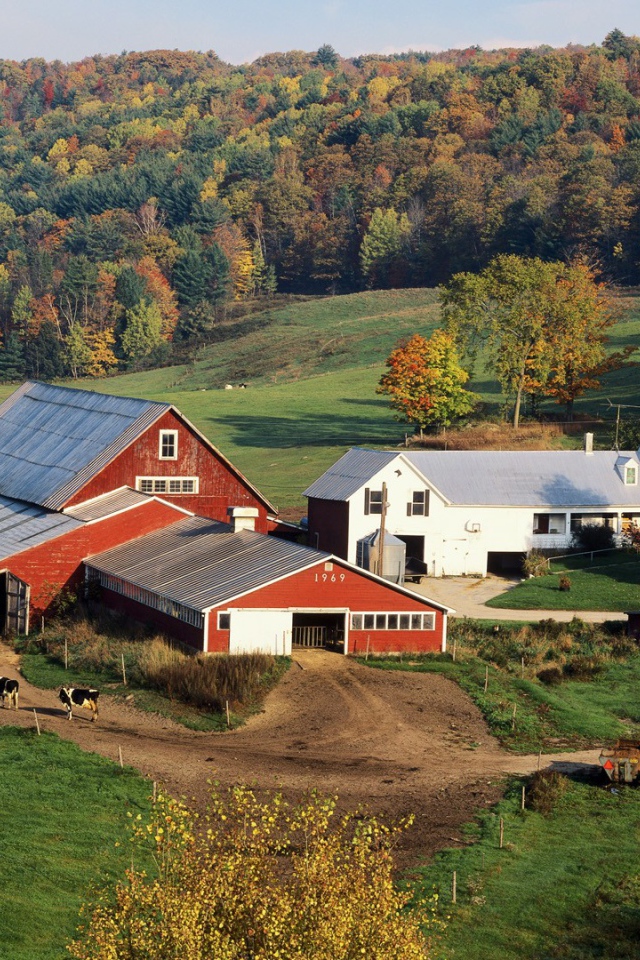 Усадьба фермера