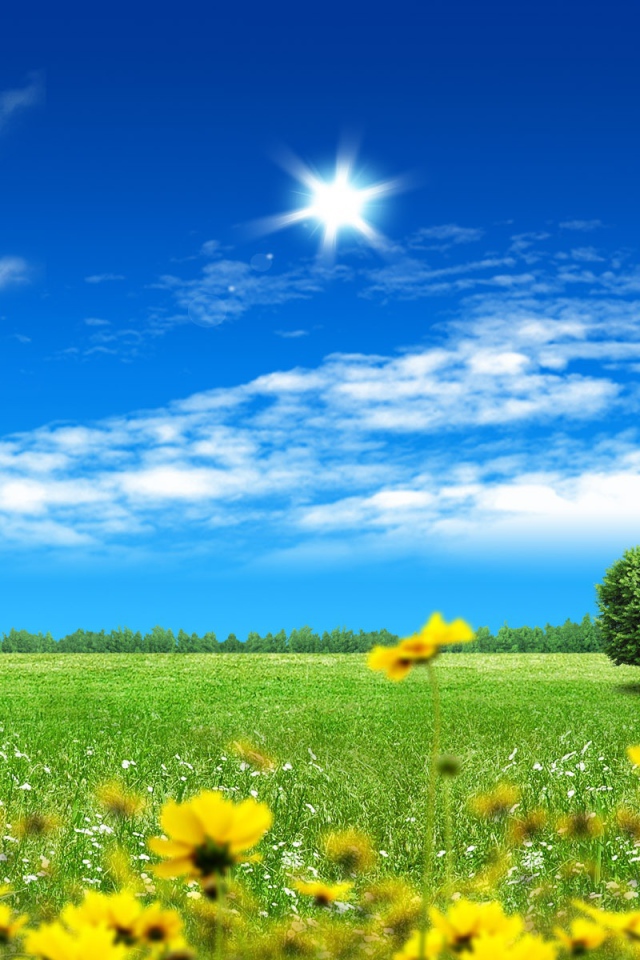 Прекрасный фантазийный мир