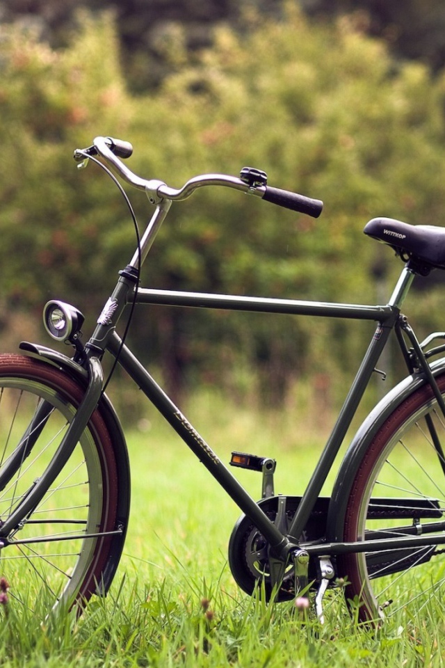 Велосипед на траве