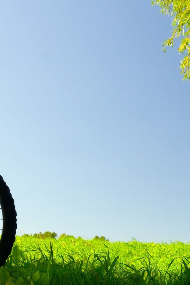 Велосипед в поле