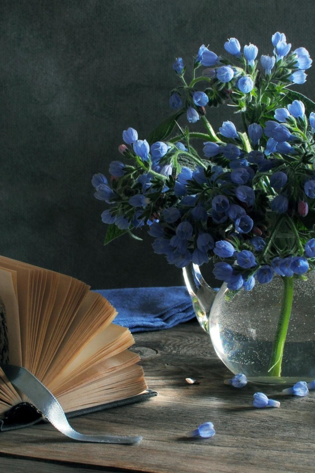 Синие цветы и книга