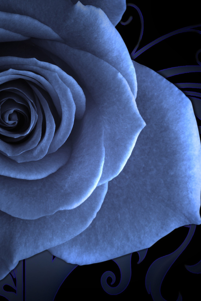 Синяя роза на красивом фоне