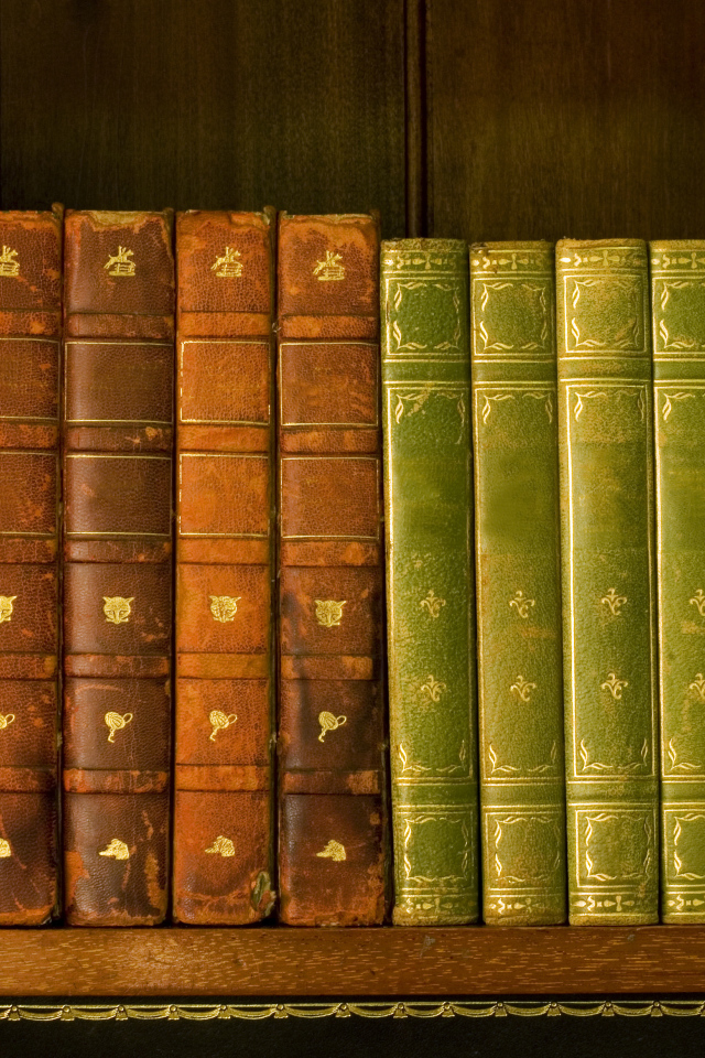 Книги на полке