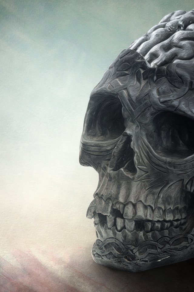 Мозг и череп