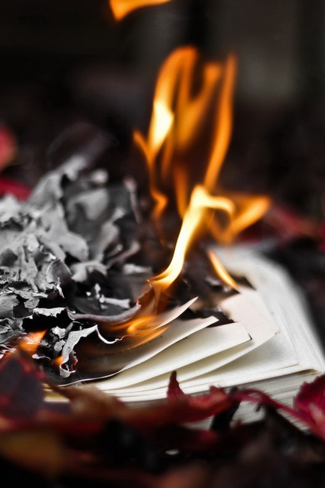 Горит книга в осенних листьях