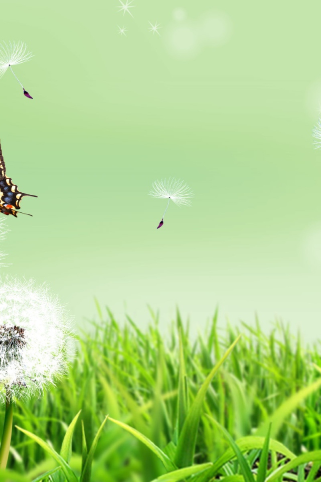 Бабочка на природе