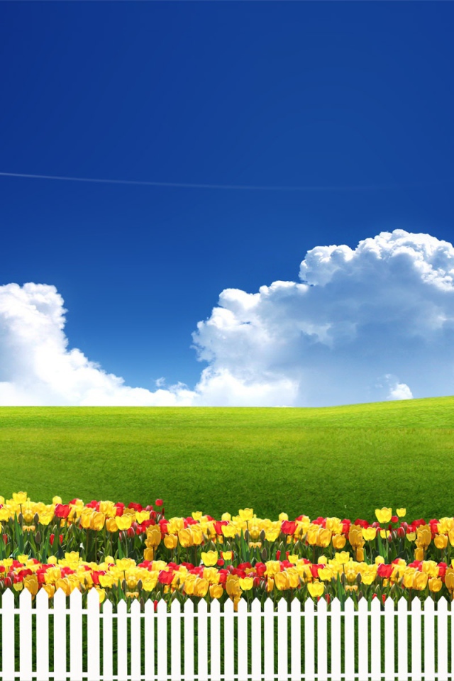 Чистое небо