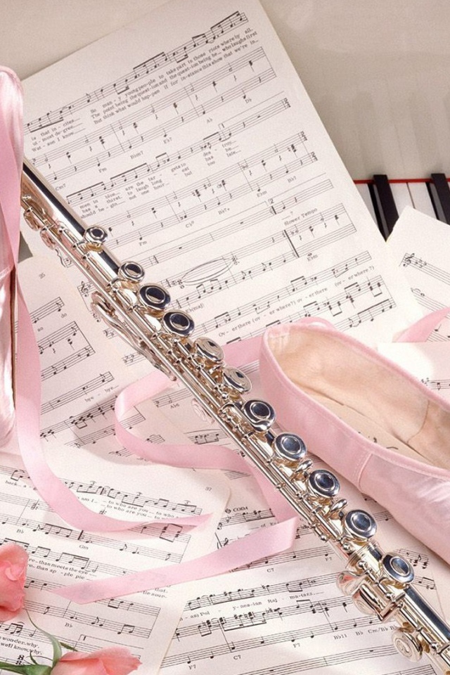 Танцевальные тапочки и ноты